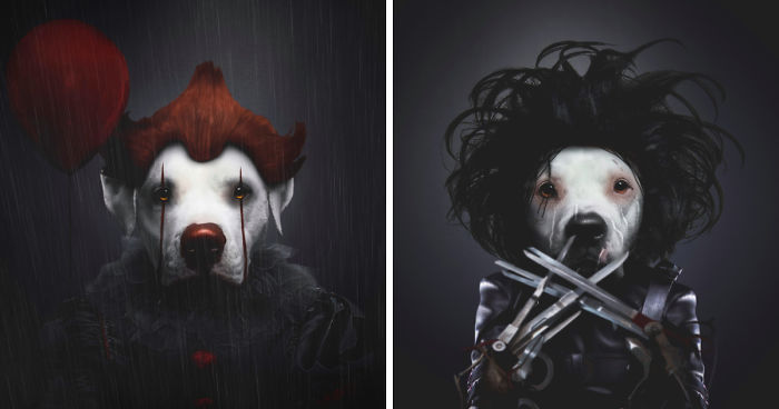I Photoshopped My 3 Dogs In An Epic Halloween Series (12 Pics)