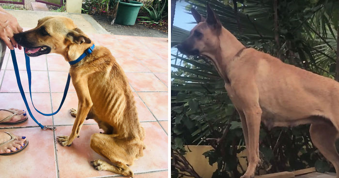 Lost In The Streets With No Food