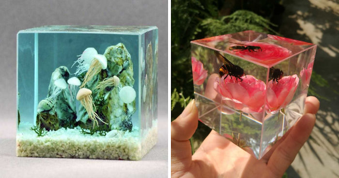 We Make Paperweights Using Fragments Of Nature And 3D Fish Embedded In Resin
