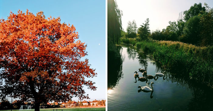 Photographs I Took In The Last 6 Months