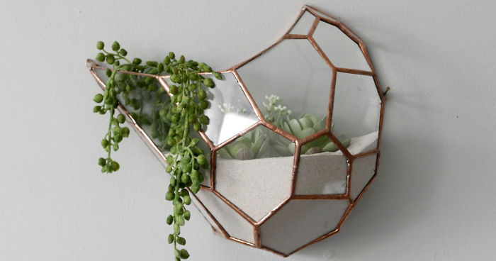 Vibrant Living Sculptures From Nightshade (13 Pics)