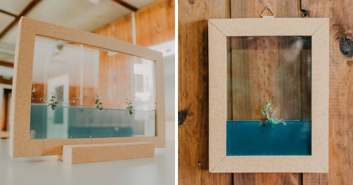 I Made This Self-Sustainable Ecosystem In A Cork Frame