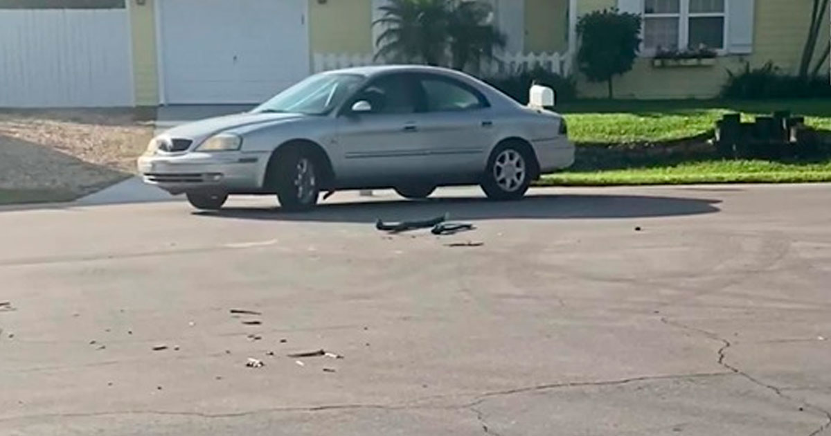 Video Footage Shows Dog Accidentally Starting His Owner’s Car And Driving In Circles For An Hour