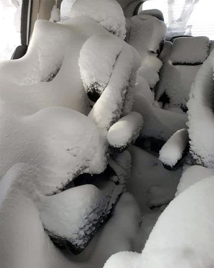 Apparently The Kids Were Too Distracted To Shut The Door