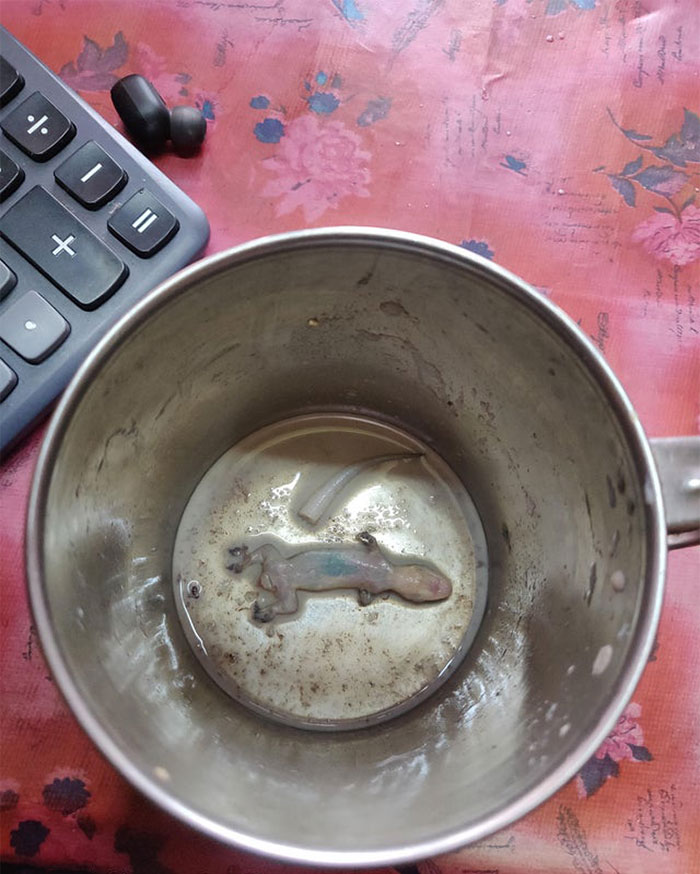 When You Ignore The Foul Taste Of Morning Tea