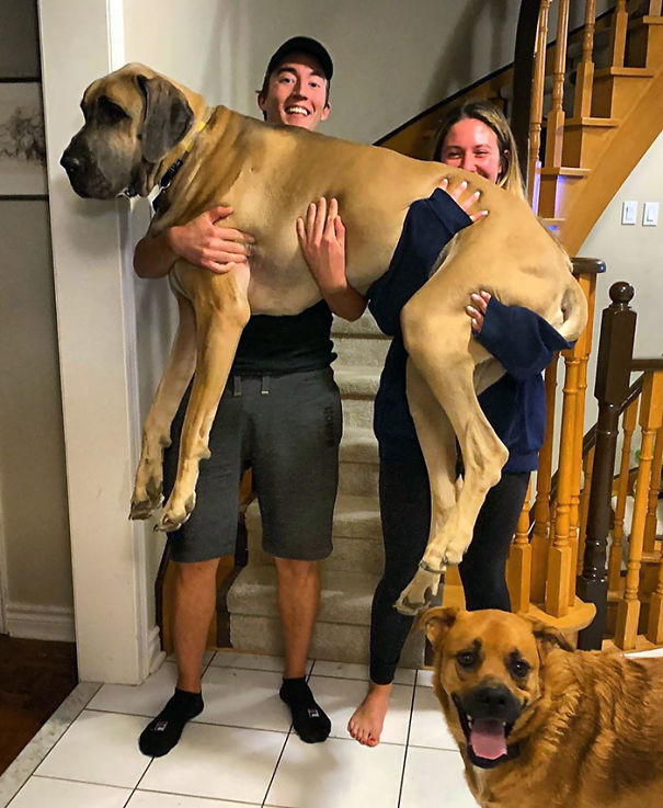 He Won't Stop Growing - Send Help