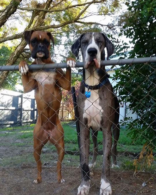 When You Are Big Snoops That Can't Mind Their Own Business