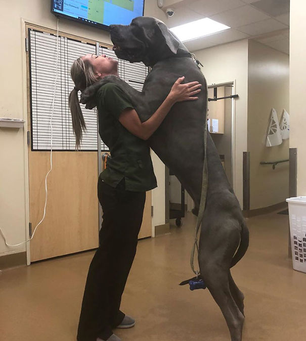 Ozzy Gives The Best Hugs