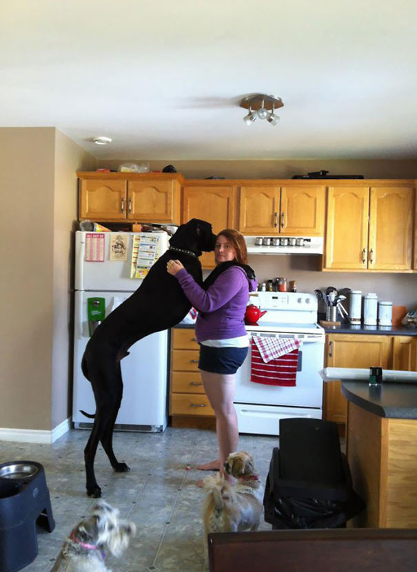 His Name Is Hercules. He Gives Awesome Hugs