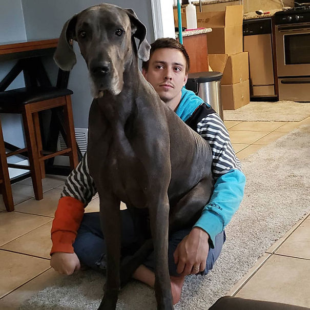 My Husband And I Were Sitting On The Floor Talking When