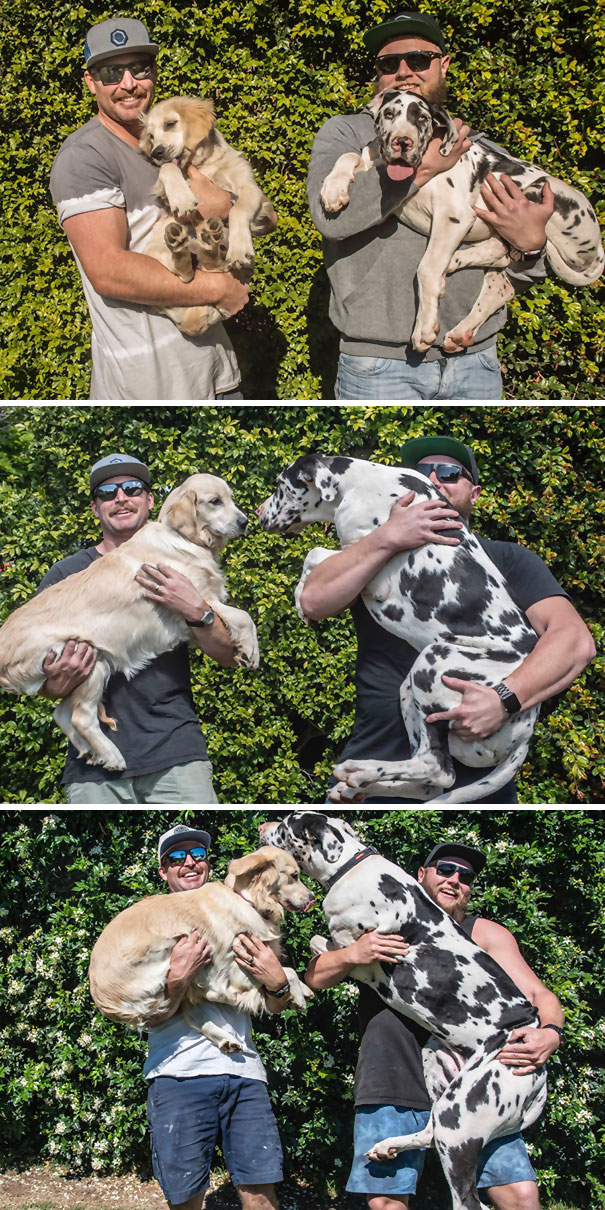 3 Months / 6 Months / 12 Months