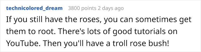 Woman Enrages Boyfriend's Sexist Uncle By Bringing Flowers To A Family Get-Together Woman Enrages Boyfriend's Sexist Uncle By Bringing Flowers To A Family Get-Together
