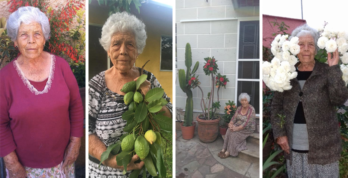 This Stylish Grandma Matches Her Outfits With The Flowers In Her Garden And Goes Viral