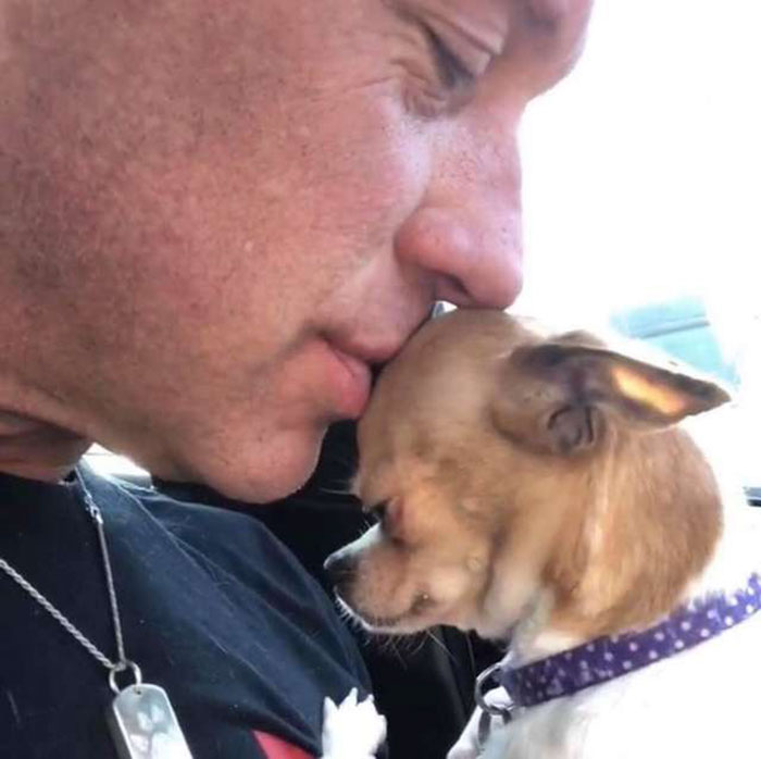 Man Who Makes Fun Of Tiny Dogs Gets Saved By A Chihuahua, Devotes His Life To Rescuing Them