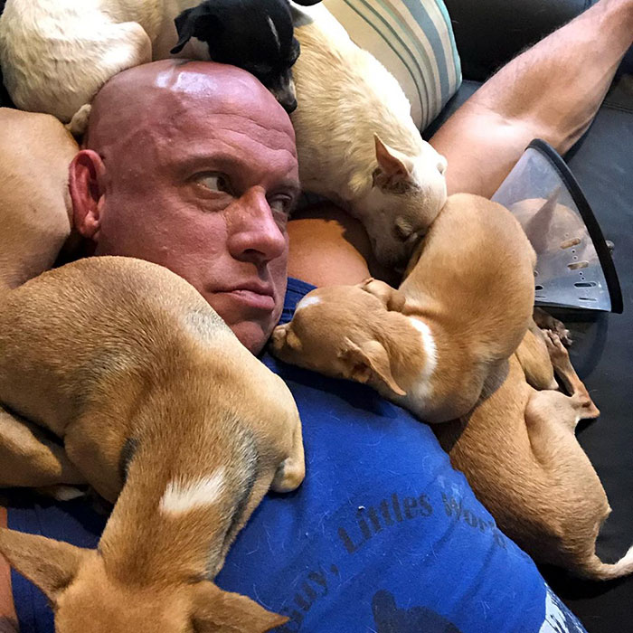 Man Who Makes Fun Of Tiny Dogs Gets Saved By A Chihuahua, Devotes His Life To Rescuing Them