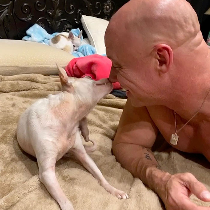 Man Who Makes Fun Of Tiny Dogs Gets Saved By A Chihuahua, Devotes His Life To Rescuing Them