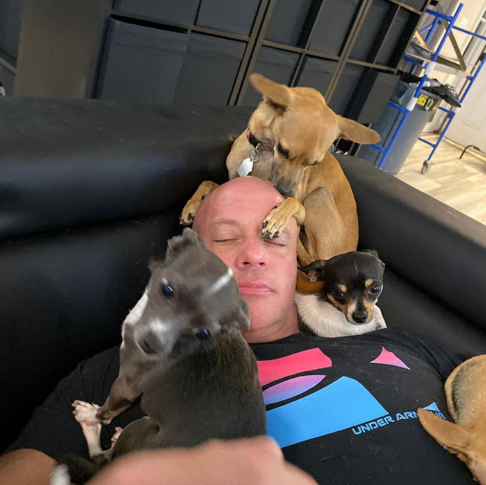 Man Who Makes Fun Of Tiny Dogs Gets Saved By A Chihuahua, Devotes His Life To Rescuing Them