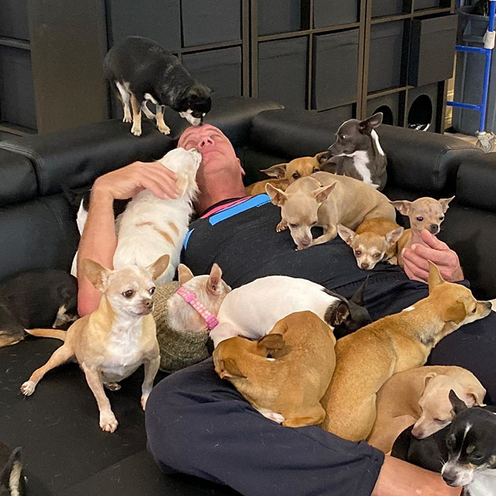 Man Who Makes Fun Of Tiny Dogs Gets Saved By A Chihuahua, Devotes His Life To Rescuing Them