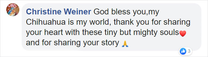 Man Who Makes Fun Of Tiny Dogs Gets Saved By A Chihuahua, Devotes His Life To Rescuing Them