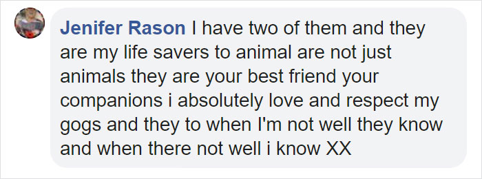 Man Who Makes Fun Of Tiny Dogs Gets Saved By A Chihuahua, Devotes His Life To Rescuing Them