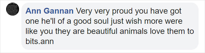 Man Who Makes Fun Of Tiny Dogs Gets Saved By A Chihuahua, Devotes His Life To Rescuing Them