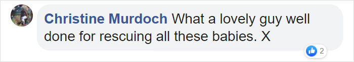 Man Who Makes Fun Of Tiny Dogs Gets Saved By A Chihuahua, Devotes His Life To Rescuing Them