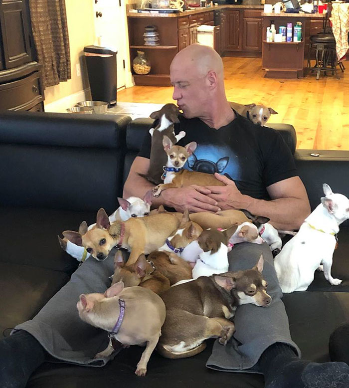 Man Who Makes Fun Of Tiny Dogs Gets Saved By A Chihuahua, Devotes His Life To Rescuing Them