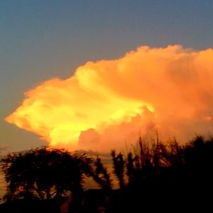 lisapalmerlaw avatar