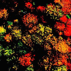 callumkateley avatar