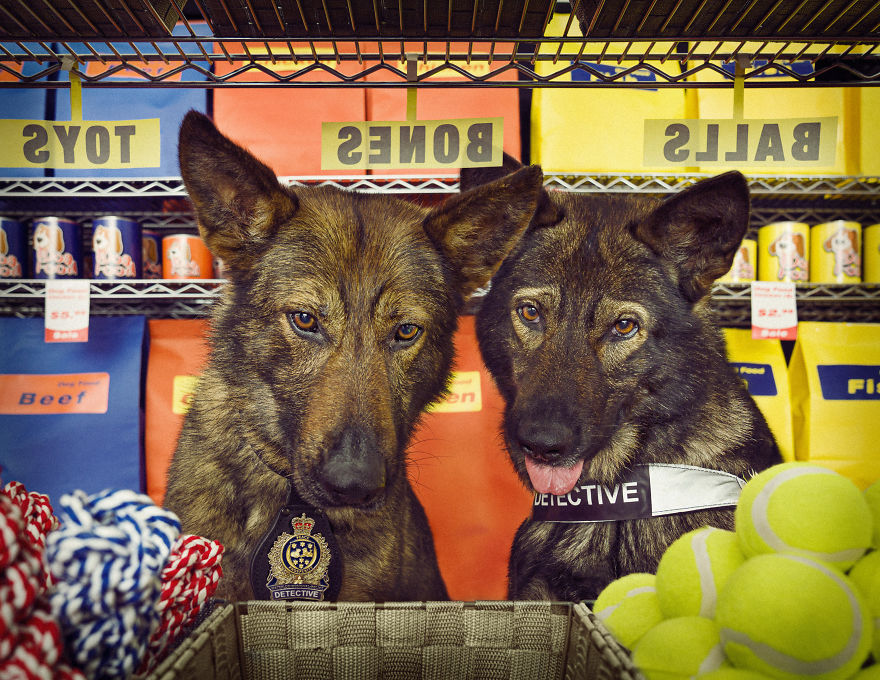 I Was Asked By The Waterloo Police To Make Them A Kickass Calendar, And Here Is The Result (14 Pics) I Was Asked By The Waterloo Police To Make Them A Kickass Calendar, And Here Is The Result (14 Pics)