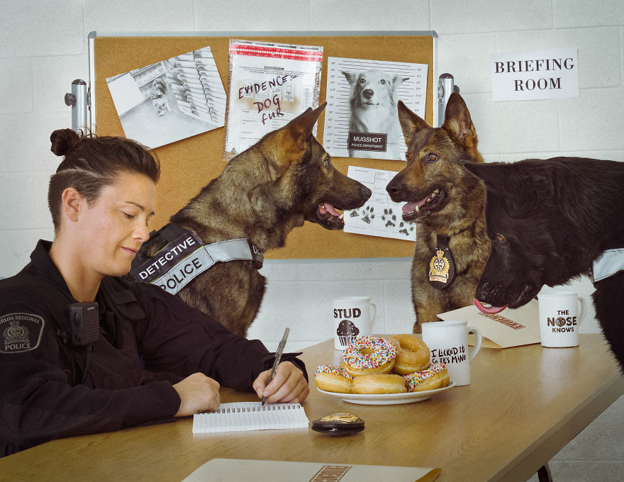 I Was Asked By The Waterloo Police To Make Them A Kickass Calendar, And Here Is The Result (14 Pics) I Was Asked By The Waterloo Police To Make Them A Kickass Calendar, And Here Is The Result (14 Pics)