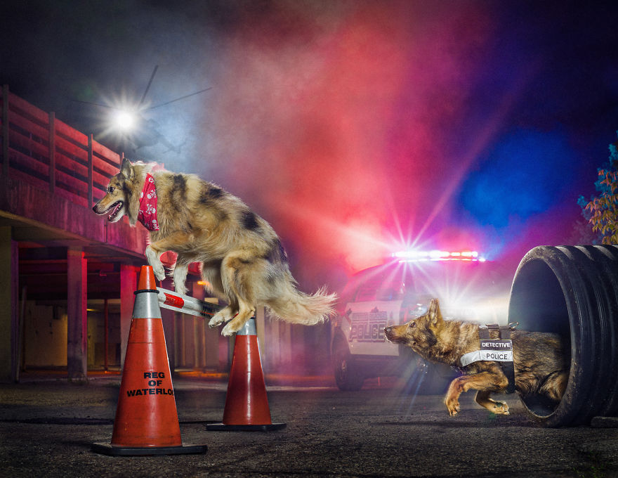 I Was Asked By The Waterloo Police To Make Them A Kickass Calendar, And Here Is The Result (14 Pics)