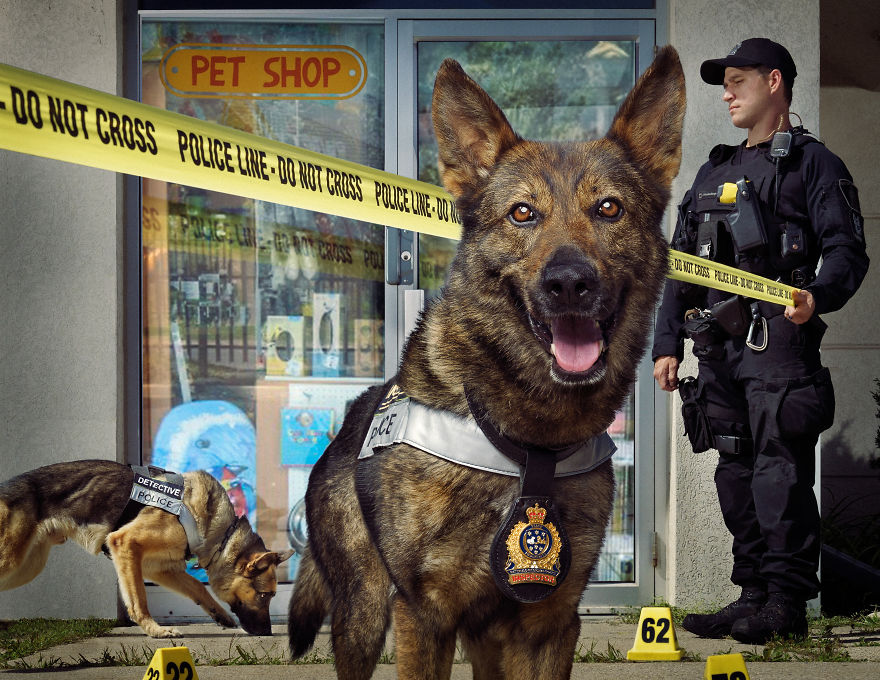 I Was Asked By The Waterloo Police To Make Them A Kickass Calendar, And Here Is The Result (14 Pics) I Was Asked By The Waterloo Police To Make Them A Kickass Calendar, And Here Is The Result (14 Pics)