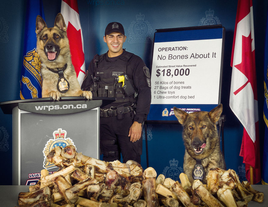 I Was Asked By The Waterloo Police To Make Them A Kickass Calendar, And Here Is The Result (14 Pics)