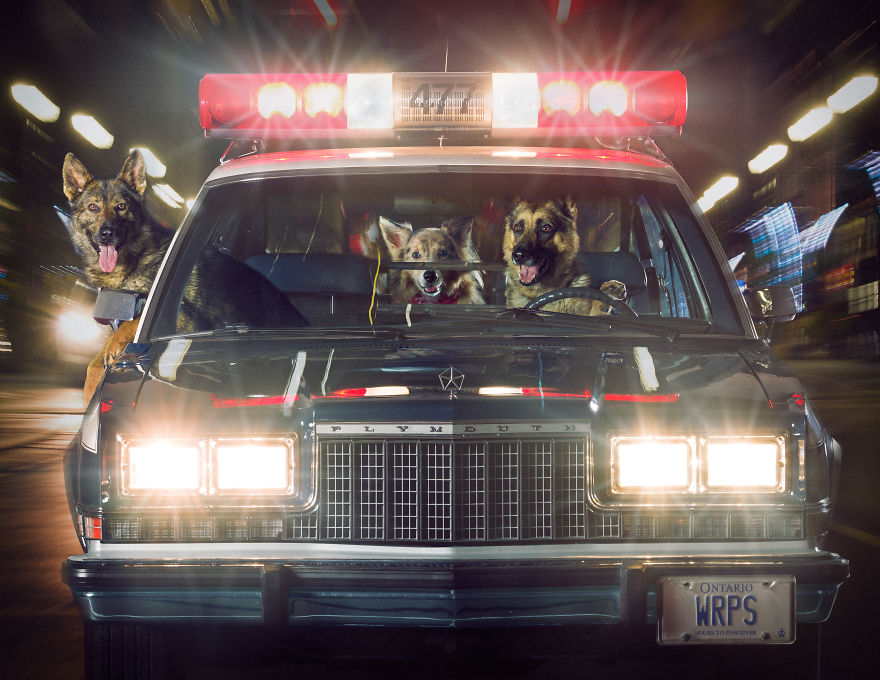 I Was Asked By The Waterloo Police To Make Them A Kickass Calendar, And Here Is The Result (14 Pics) I Was Asked By The Waterloo Police To Make Them A Kickass Calendar, And Here Is The Result (14 Pics)