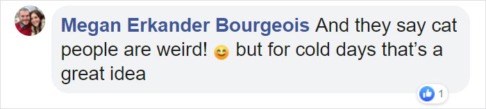You Can Now Get Your Dog A Pair Of Leggings To Warm Their Paws You Can Now Get Your Dog A Pair Of Leggings To Warm Their Paws