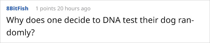 This Puppy Gets Dropped By A Bird Of Prey, Turns Out He's A Purebred Endangered Dingo This Puppy Gets Dropped By A Bird Of Prey, Turns Out He's A Purebred Endangered Dingo
