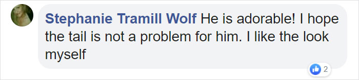 This Rescue Puppy Has A Tail Growing Out Of His Forehead