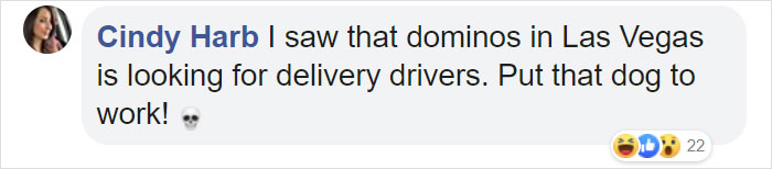 Video Footage Shows Dog Accidentally Starting His Owner's Car And Driving In Circles For An Hour