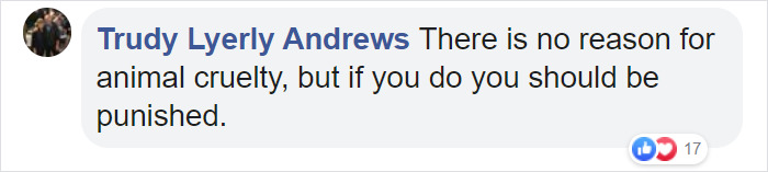 Animal Cruelty Is Now Officially A Nationwide Felony In The USA Animal Cruelty Is Now Officially A Nationwide Felony In The USA