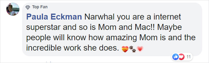 This Rescue Puppy Has A Tail Growing Out Of His Forehead