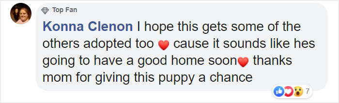 This Rescue Puppy Has A Tail Growing Out Of His Forehead This Rescue Puppy Has A Tail Growing Out Of His Forehead