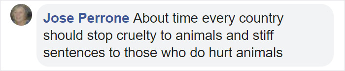 Animal Cruelty Is Now Officially A Nationwide Felony In The USA