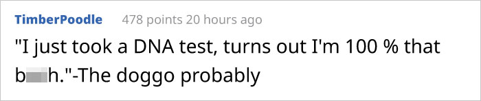 This Puppy Gets Dropped By A Bird Of Prey, Turns Out He's A Purebred Endangered Dingo