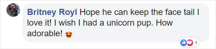 This Rescue Puppy Has A Tail Growing Out Of His Forehead