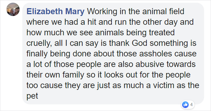 Animal Cruelty Is Now Officially A Nationwide Felony In The USA Animal Cruelty Is Now Officially A Nationwide Felony In The USA