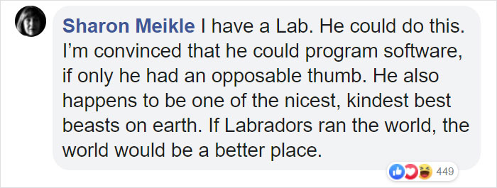 Video Footage Shows Dog Accidentally Starting His Owner's Car And Driving In Circles For An Hour