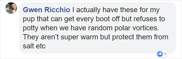 You Can Now Get Your Dog A Pair Of Leggings To Warm Their Paws You Can Now Get Your Dog A Pair Of Leggings To Warm Their Paws
