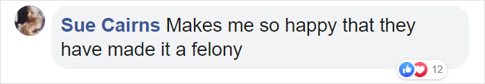 Animal Cruelty Is Now Officially A Nationwide Felony In The USA Animal Cruelty Is Now Officially A Nationwide Felony In The USA