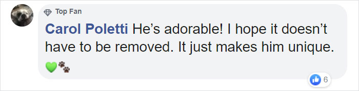 This Rescue Puppy Has A Tail Growing Out Of His Forehead